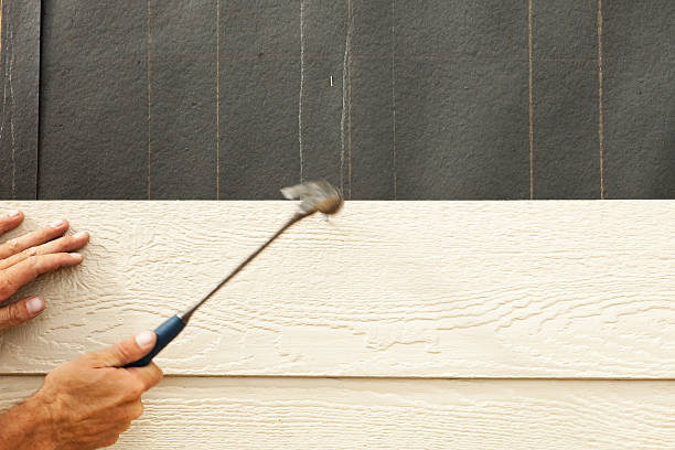 Best Insulated Siding Installation  in Wilmington Island, GA